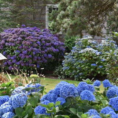 Fall is a Great Time to Plant